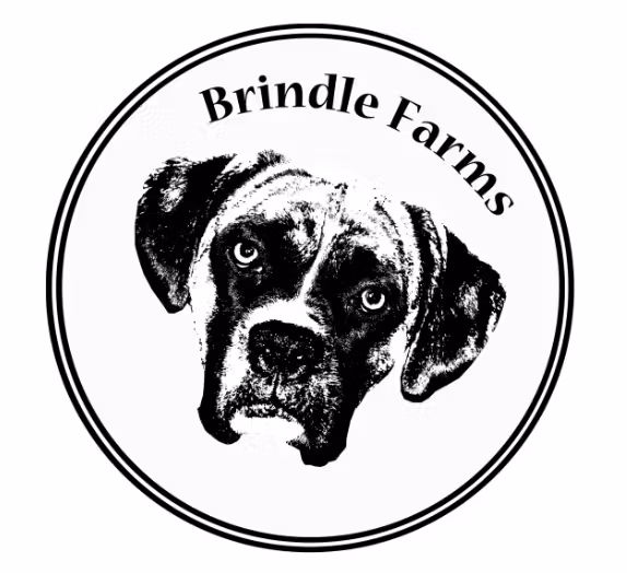 Exterior view of The Joint Cannabis Co 6945 Victoria Dr Vancouver wafrehouse delivery partners logo