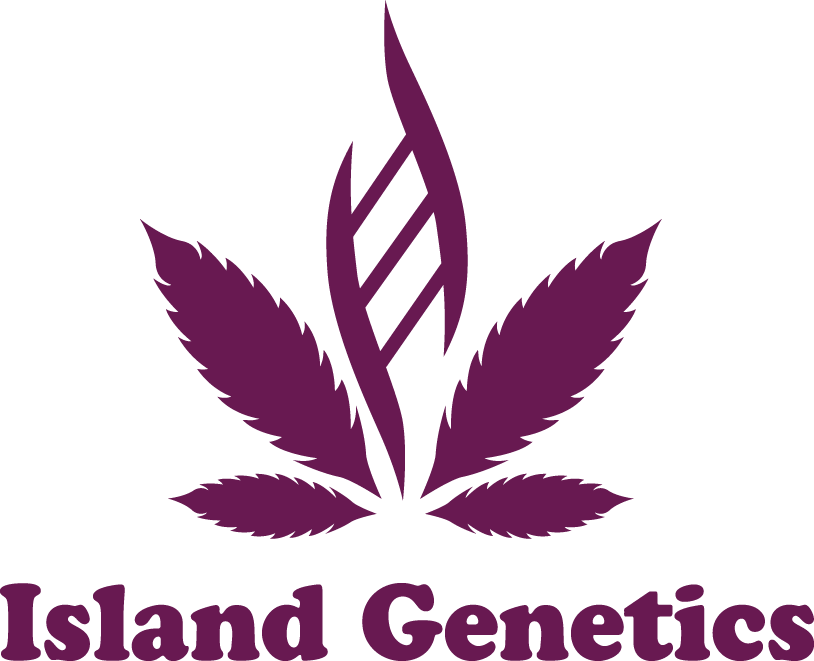 Exterior view of The Joint Cannabis Co 6945 Victoria Dr Vancouver wafrehouse delivery partners logo