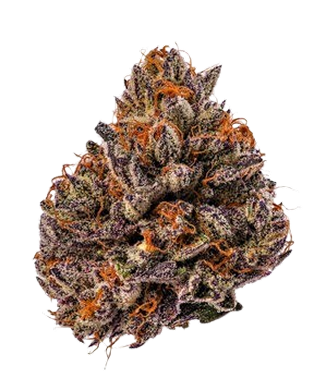 High quality cannabis products at The Joint Cannabis Co Vancouver BC flowers bud