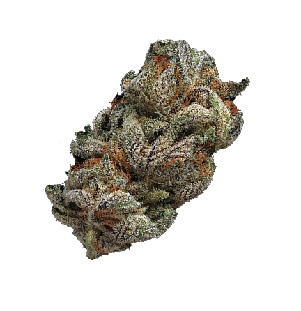 full spectrum hash Vancouver | BC craft cannabis oil and tinctures | THC Canada vs The Joint South Van | THC Canada delivery vs The Joint | Village Bloomery reviews South Van | Village Bloomery vs The Joint | Local Cannabis Co. craft flower menu | Local Cannabis Co. delivery time | La Canapa Main St Vancouver deals.